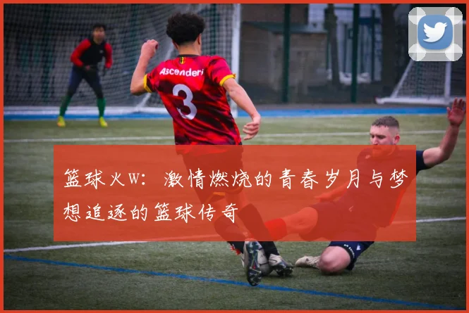 篮球火w：激情燃烧的青春岁月与梦想追逐的篮球传奇