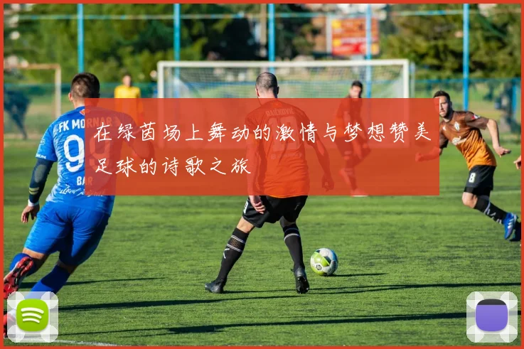 在绿茵场上舞动的激情与梦想赞美足球的诗歌之旅