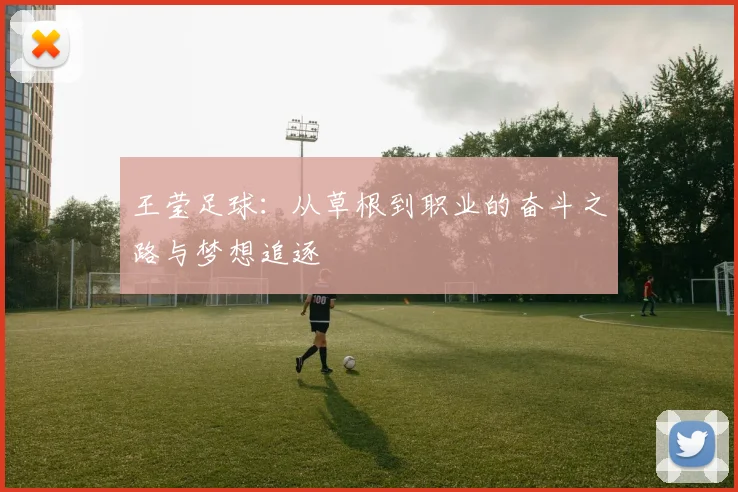 王莹足球：从草根到职业的奋斗之路与梦想追逐